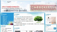 如東華*化工有限公司網(wǎng)站建設(shè)可視化建站作品欣賞