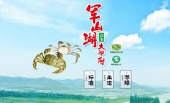 江西省進賢縣軍*湖魚蟹開發(fā)公司做網(wǎng)站有創(chuàng)意的主題設計