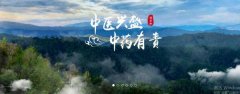 普洱淞*醫(yī)藥集團有限公司網(wǎng)站建設新一代自助建站、智能建站系統(tǒng)