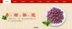 紅太*食品(榮成)有限公司制作網(wǎng)站新一代自助建站、智能建站系統(tǒng)